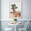 Wall art - Joshua Tree - Canvas Prints - Poster Prints