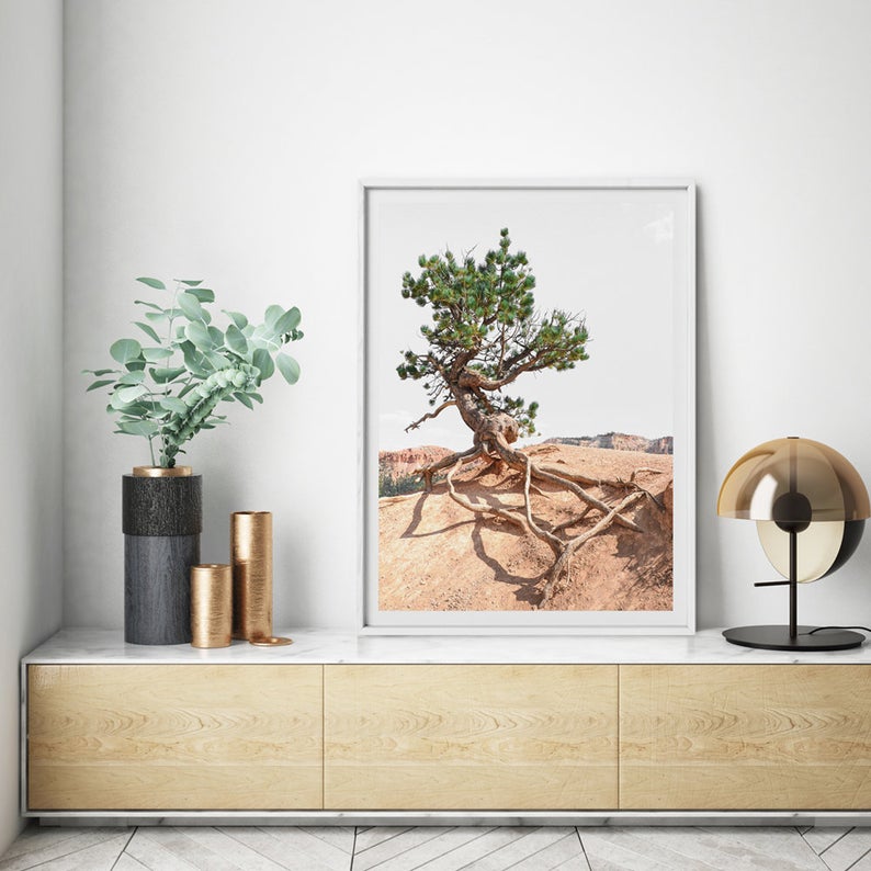 Wall art - Joshua Tree - Canvas Prints - Poster Prints