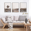 Wall art - Joshua Trees 3 sets- Poster Prints -Canvas Prints