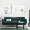 Wall Art - Lavender Eucalyptus (3 Sets) - Poster Prints -Canvas Prints