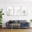 Wall Art - Lavender Eucalyptus (3 Sets) - Poster Prints -Canvas Prints