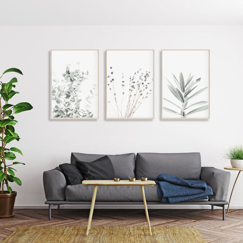 Wall Art - Lavender Eucalyptus (3 Sets) - Poster Prints -Canvas Prints