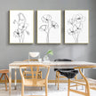 Wall Art - Line botanical flowers (3 Sets) - Poster Prints -Canvas Prints