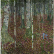 Wall Art - Birch forest by Gustav Klimt - Canvas Prints-Poster Prints