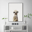 Wall Art - Meerkat - Canvas Prints-Poster Prints