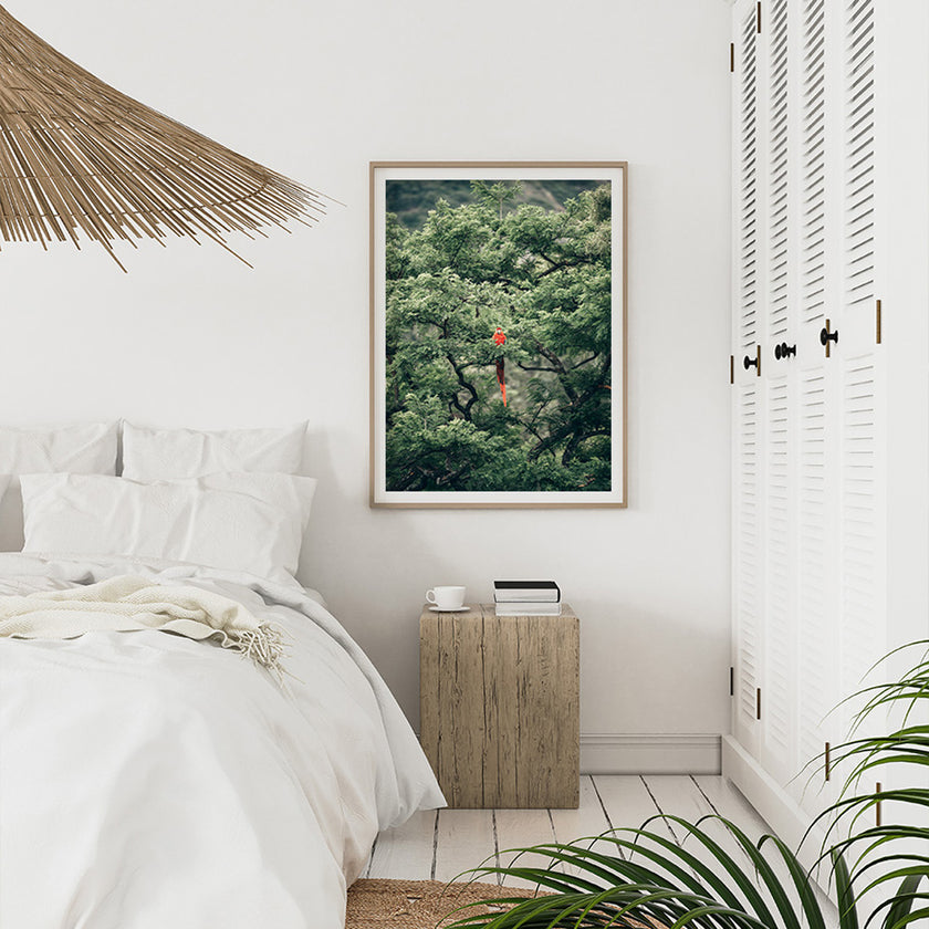 Wall art - Froest Parrot on The Tree - Canvas Prints - Poster Prints