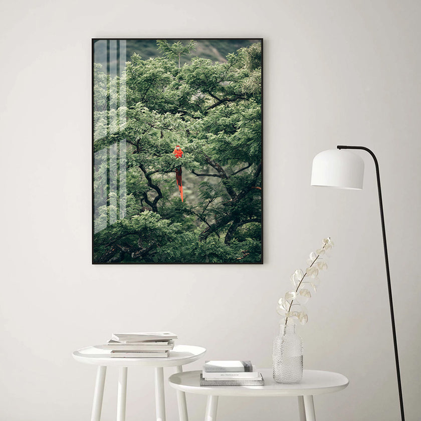 Wall art - Froest Parrot on The Tree - Canvas Prints - Poster Prints