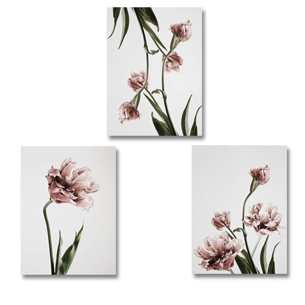 Wall Art - Tulip Flower 3 sets - Poster Prints -Canvas Prints