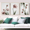 Wall Art - Tulip Flower 3 sets - Poster Prints -Canvas Prints