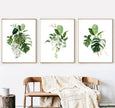 Wall Art - Monstera Leaves 3 sets - Poster Prints -Canvas Prints