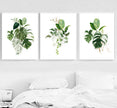 Wall Art - Monstera Leaves 3 sets - Poster Prints -Canvas Prints