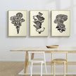 Wall Art  - Mushroom 3 Sets - Poster Prints -Canvas Prints