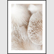 Wall art - Mushroom Dream 2 sets - Canvas Prints- Poster Prints
