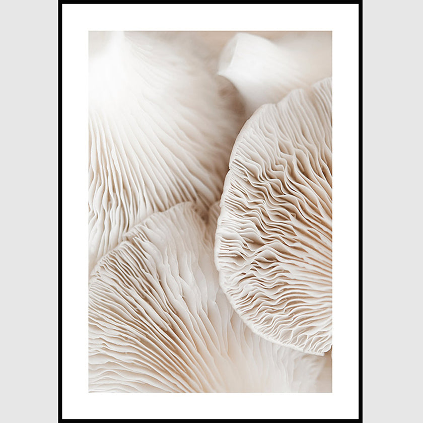 Wall art - Mushroom Dream 2 sets - Canvas Prints- Poster Prints