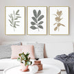 Wall Art - Neutral Botanical Leaves ( 3 sets )- Poster Prints -Canvas Prints