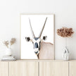 Wall Art - Oryx - Canvas Prints-Poster Prints