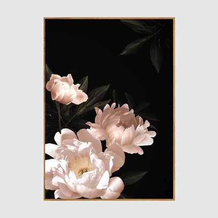 Flowers art prints -Pink peony black background - Canvas Prints - Poster Prints