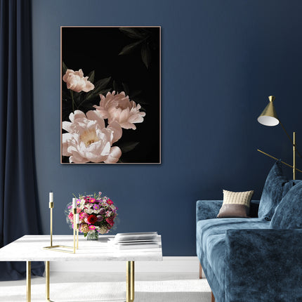 Flowers art prints -Pink peony black background - Canvas Prints - Poster Prints