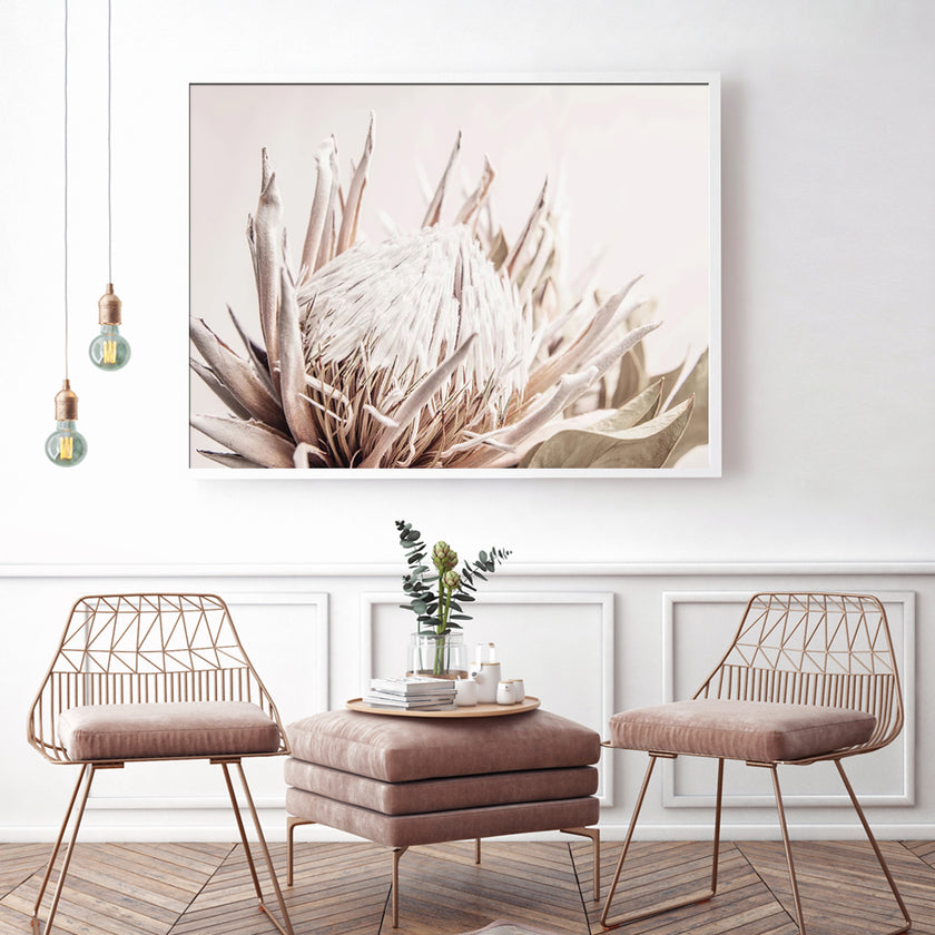 Wall art - Pure Protea II - Canvas Prints - Poster Prints