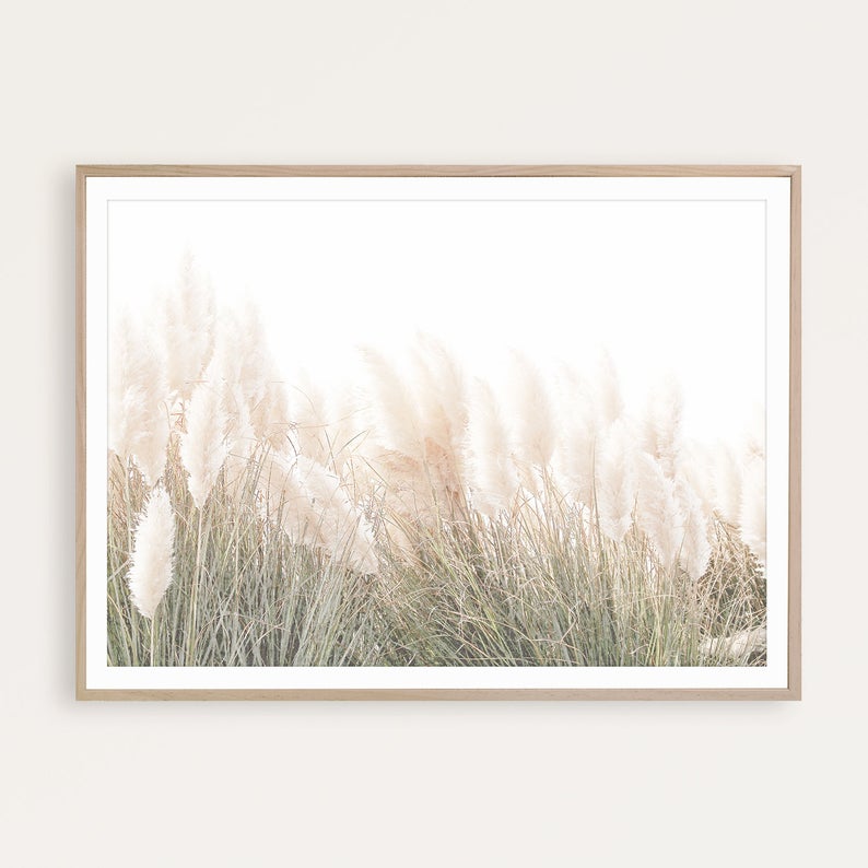 Wall art - Pampas Grass - Canvas Prints - Poster Prints