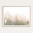 Wall art - Pampas Grass - Canvas Prints - Poster Prints
