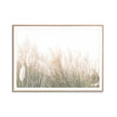 Wall art - Pampas Grass - Canvas Prints - Poster Prints