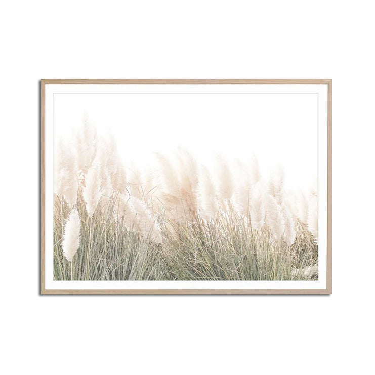 Wall art - Pampas Grass - Canvas Prints - Poster Prints