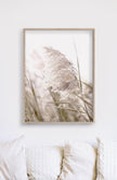 Wall art - Pampas Grass 2 sets- Canvas Prints- Poster Prints