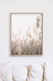 Wall art - Pampas Grass 2 sets- Canvas Prints- Poster Prints