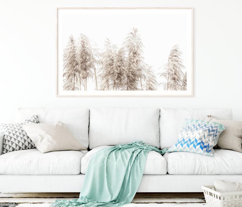 Wall Art - Pampas Grass - Canvas Print - Poster Print
