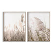 Wall art - Pampas Grass 2 sets- Canvas Prints- Poster Prints