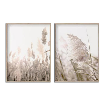Wall art - Pampas Grass 2 sets- Canvas Prints- Poster Prints
