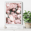 Wall Art - Peony - Canvas Prints-Poster Prints