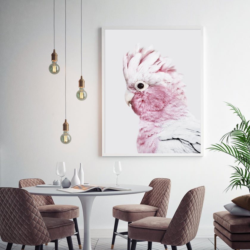 Wall Art - Pink Galah - Canvas Prints-Poster Prints
