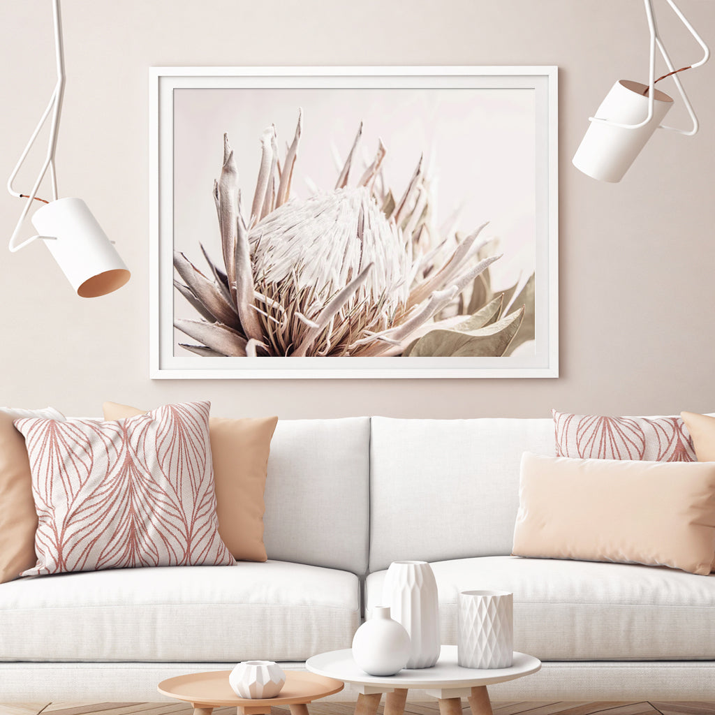 Wall art - Pure Protea II - Canvas Prints - Poster Prints