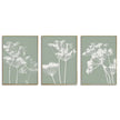 Wall Art  - Sage Green 3 Sets - Poster Prints -Canvas Prints