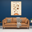 Wall Art - Solar System - Canvas Prints-Poster Prints