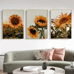 Wall Art - Sunflower (3 Sets) - Poster Prints -Canvas Prints