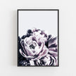 Wall art - Violet - Canvas Prints - Poster Prints