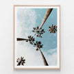 Wall art prints - Underneath The Palms - Canvas Prints - Poster Prints