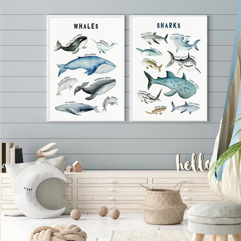 Wall art - Whales Chart - Canvas Prints - Poster Prints