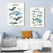 Wall art - Whales Sharks Chart 2 sets- Canvas Prints- Poster Prints