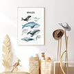 Wall art - Whales Sharks Chart 2 sets- Canvas Prints- Poster Prints