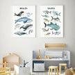 Wall art - Whales Sharks Chart 2 sets- Canvas Prints- Poster Prints