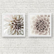 Wall Art - White Dahlia  (2 sets)- Canvas Prints-Poster Prints