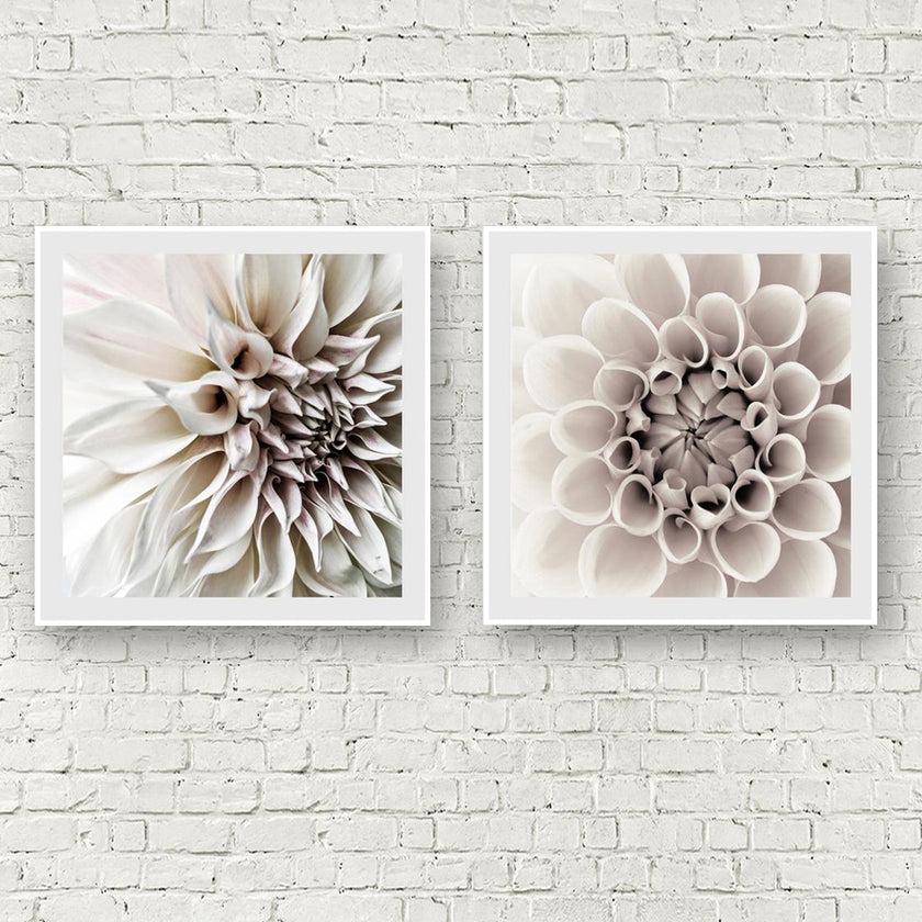 Wall Art - White Dahlia  (2 sets)- Canvas Prints-Poster Prints