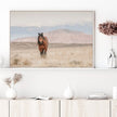 Wall Art - Wild Horse - Canvas Prints-Poster Prints