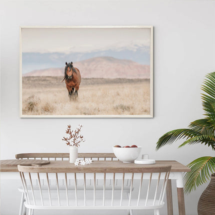 Wall Art - Wild Horse - Canvas Prints-Poster Prints