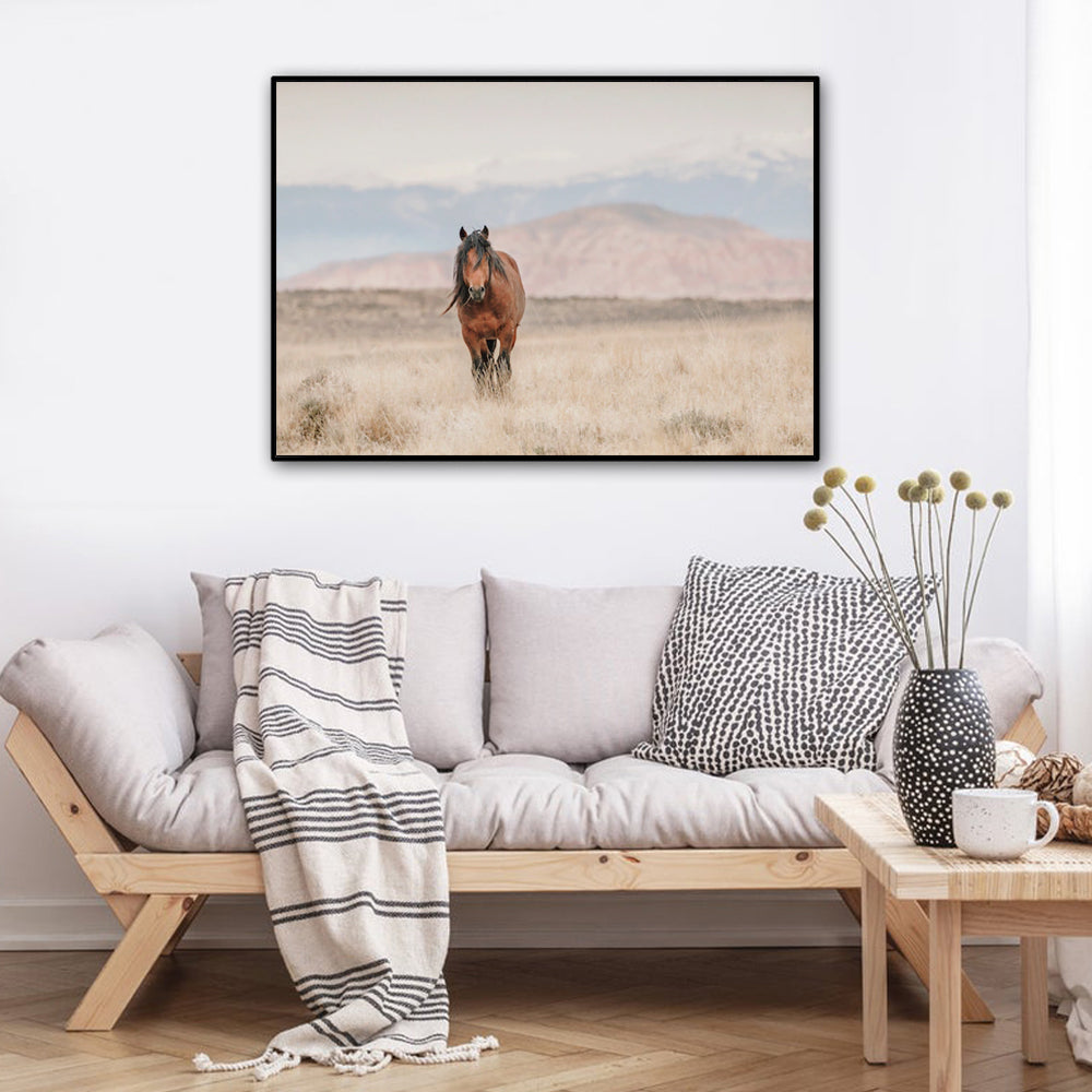Wall Art - Wild Horse - Canvas Prints-Poster Prints