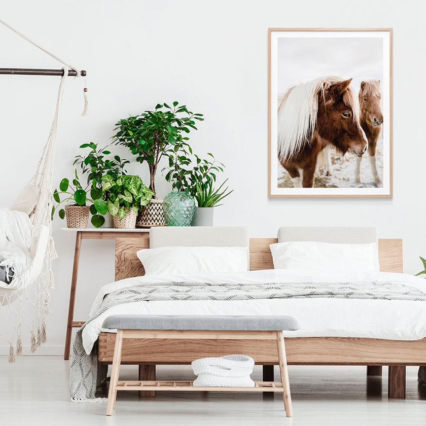 Animals art prints -Wild Horse - Canvas Prints - Poster Prints